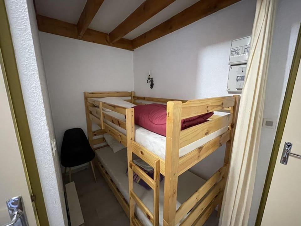 Studio en duplex, animaux OK - 4 pers. face aux pistes - FR-1-787-152 Apartment in Auvergne-Rhône-Alpes