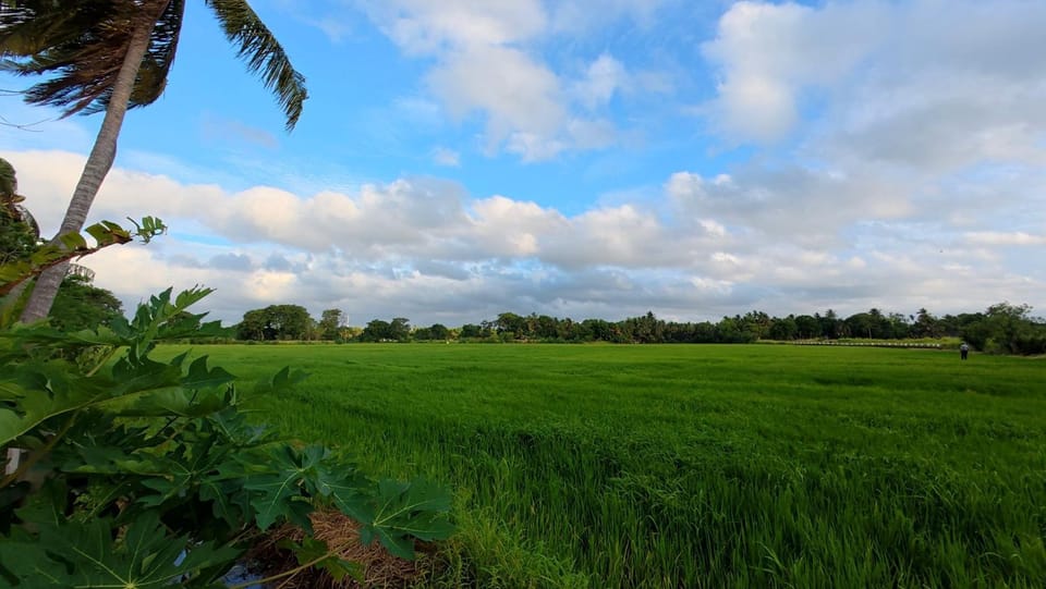 Natural landscape