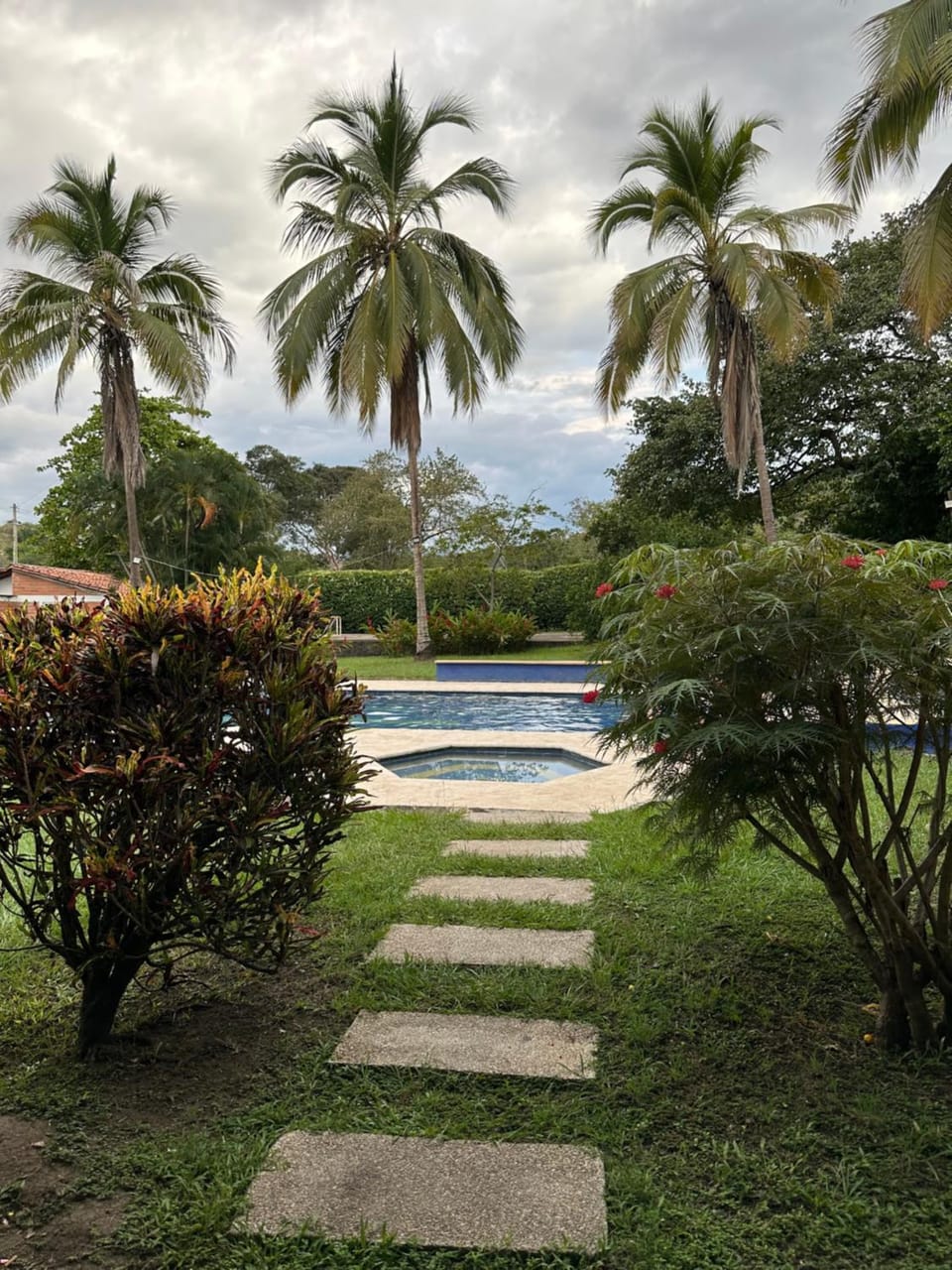 Natural landscape, Garden, Garden view, Swimming pool