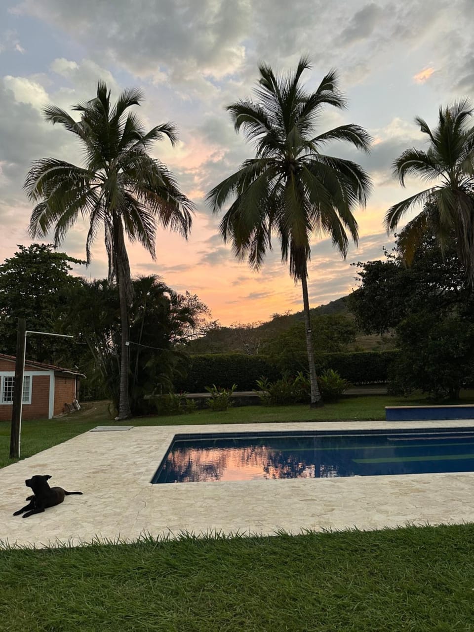 Natural landscape, Garden, Garden view, Swimming pool, Sunset