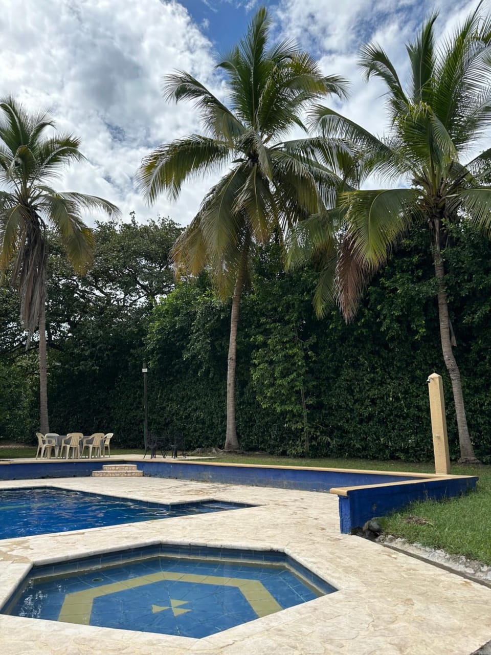 Natural landscape, Garden, Garden view, Swimming pool