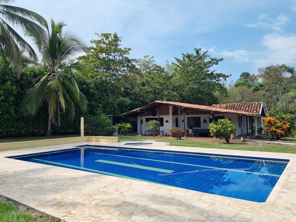 Garden, Garden view, Swimming pool