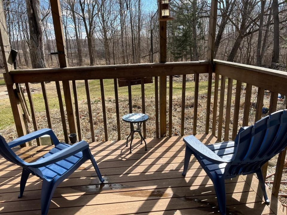 Main Level Rustic Getaway, Woodsy Area House in Rockford