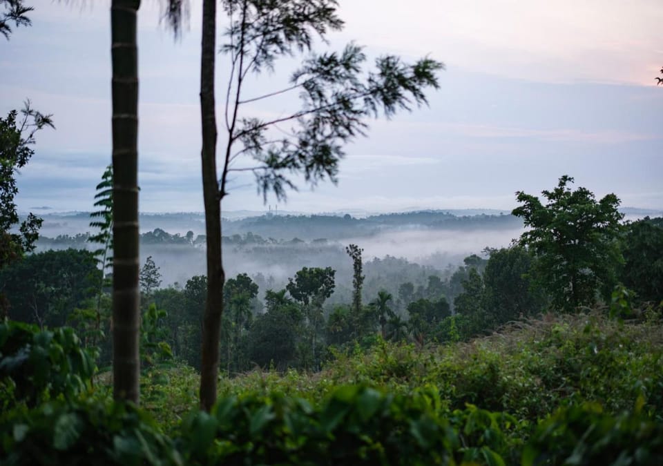 Day, Natural landscape