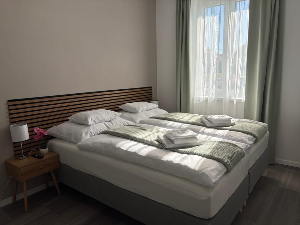 PlatanHome12 Apartment in Hungary