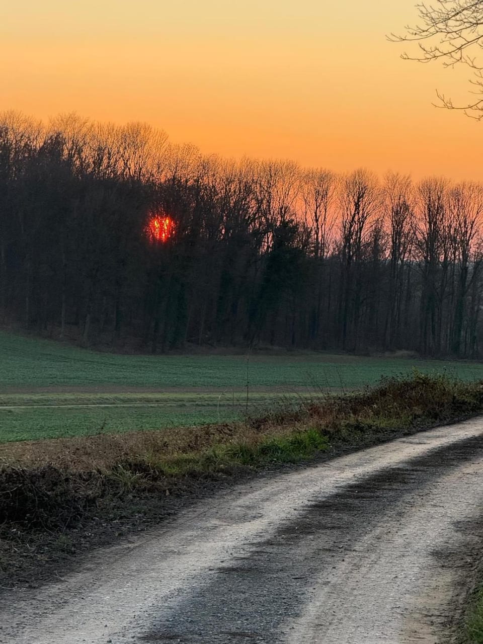 Spring, Day, Natural landscape, Sunset