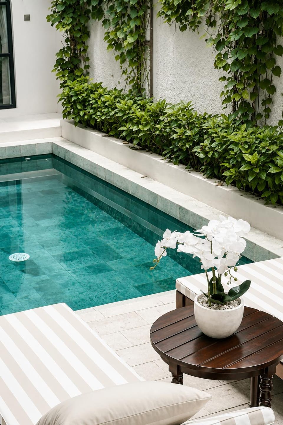 Swimming pool, sunbed