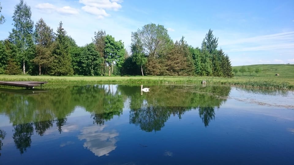 Natural landscape