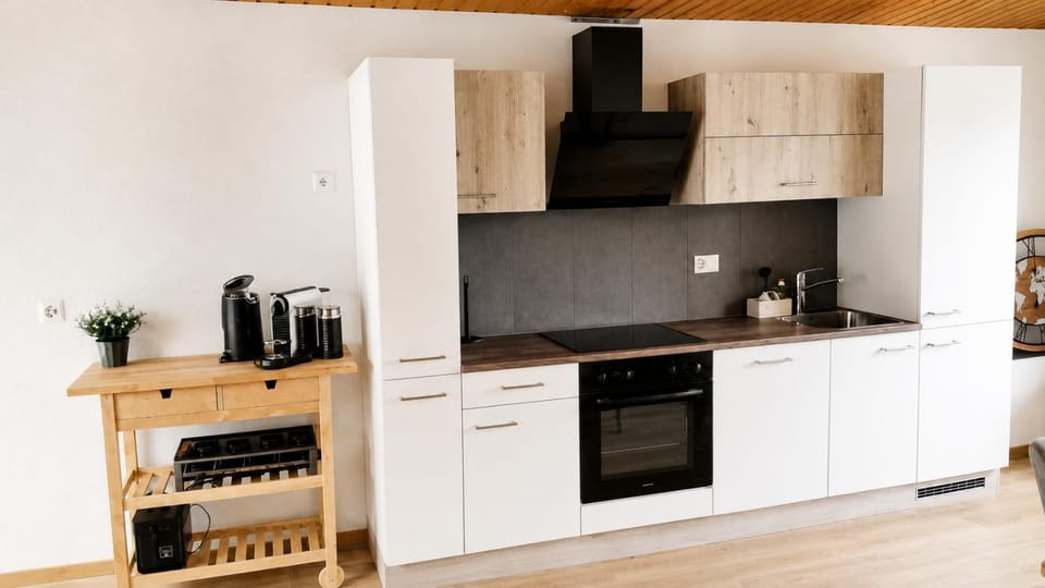Coffee/tea facilities, Kitchen or kitchenette, Photo of the whole room, oven, stove