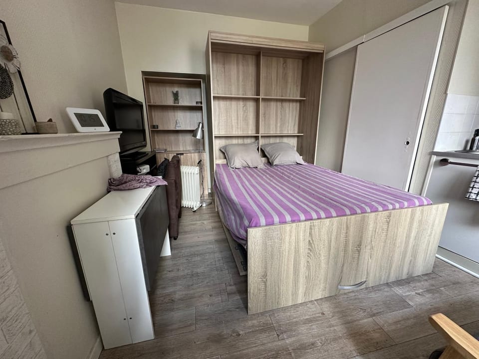 Studio proche gare Apartment in Dijon
