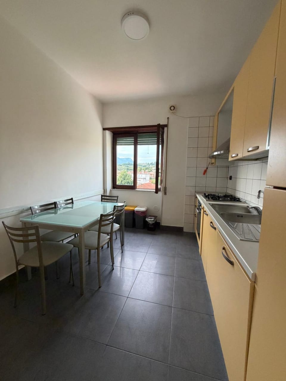 Kitchen or kitchenette, Dining area, dishwasher