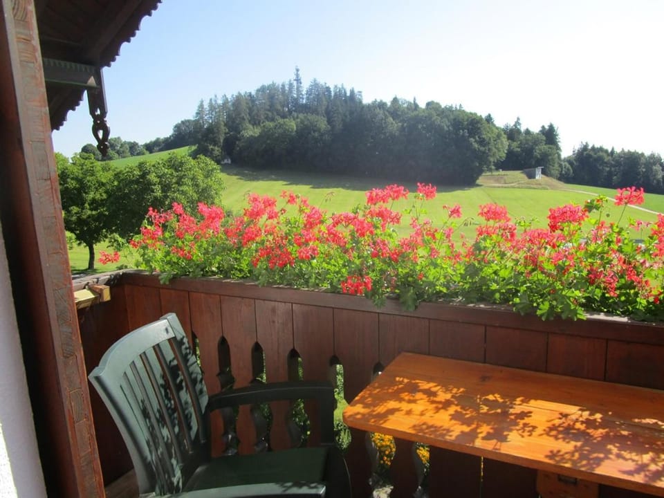 Schneiderhof Farm Stay in Prien am Chiemsee