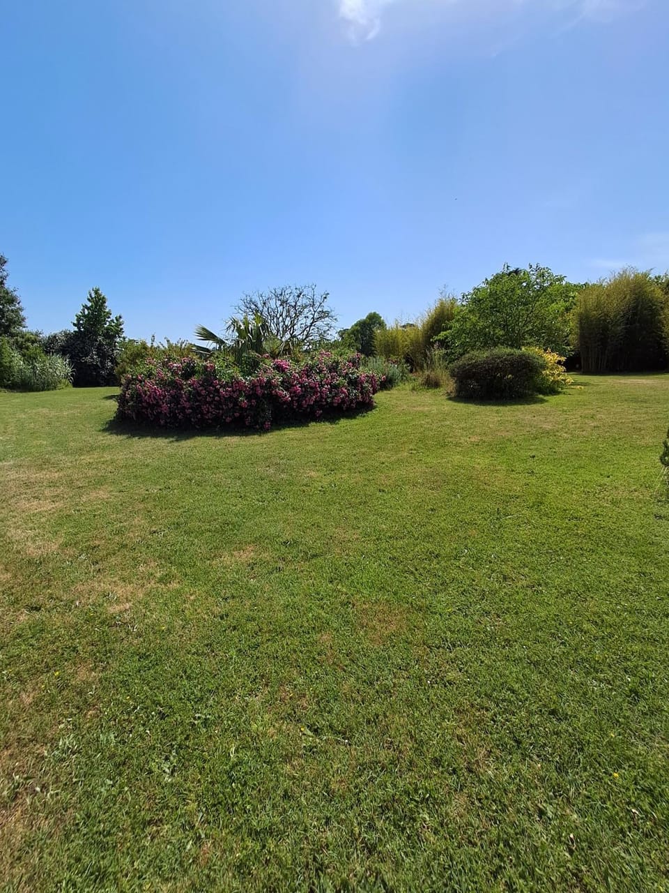Domaine des Anges Bed and Breakfast in Nouvelle-Aquitaine