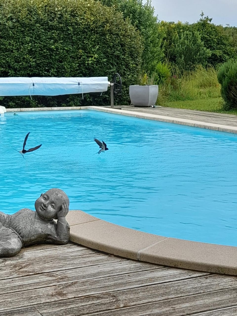 Domaine des Anges Bed and Breakfast in Nouvelle-Aquitaine