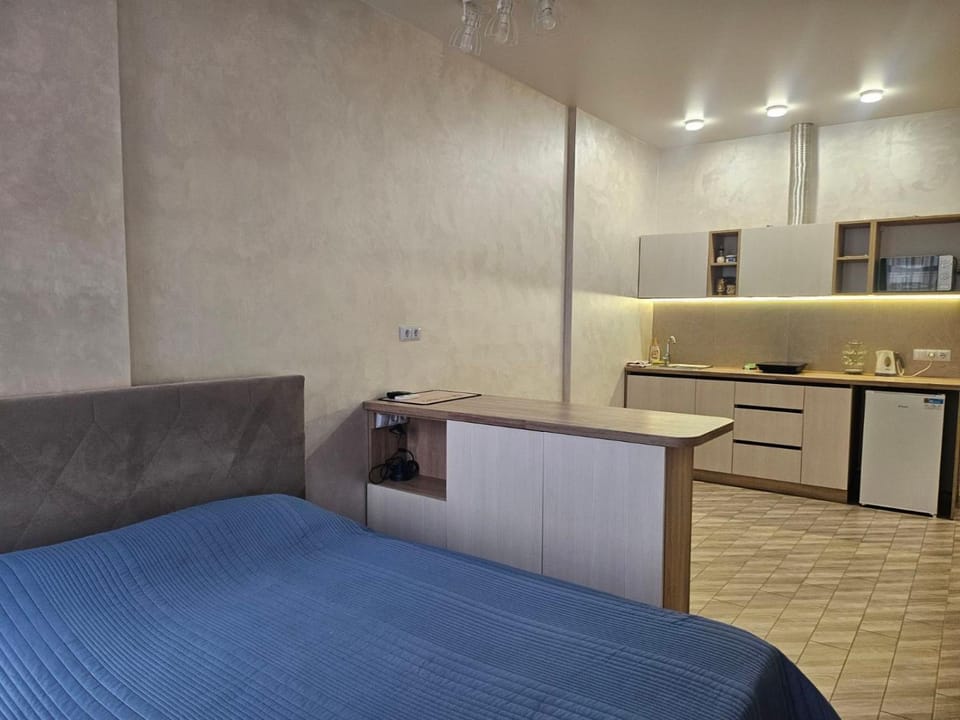 Kitchen or kitchenette, Photo of the whole room
