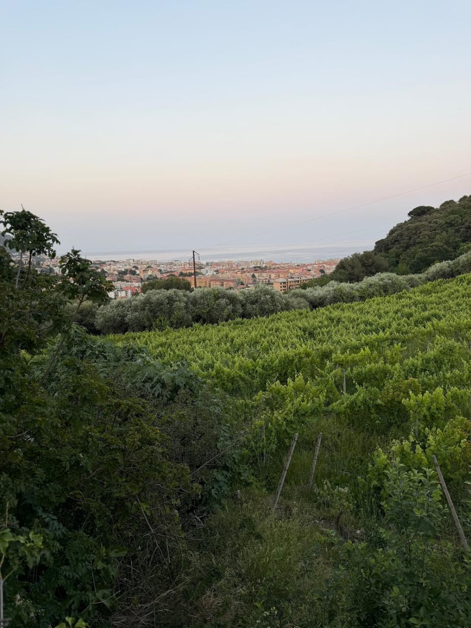 Enjoy the stunning views in Muzazzi, our Riviera Home House in Pietra Ligure