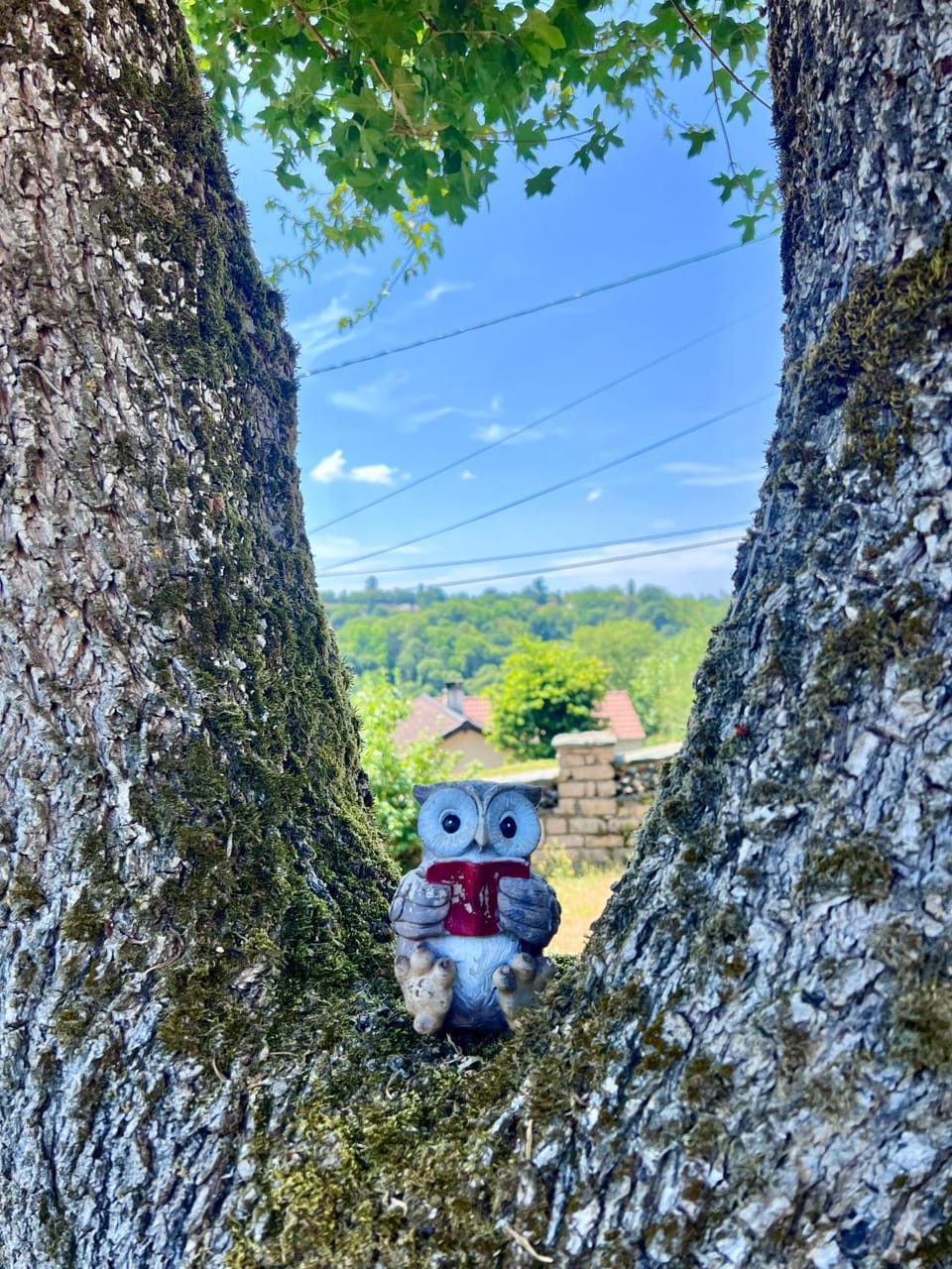 Panoramic View - Vallée des Peintres House in Nouvelle-Aquitaine