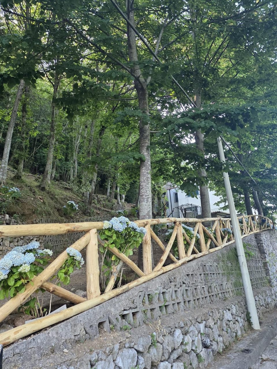 Garden, Parking