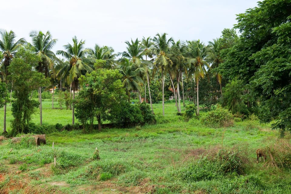 Natural landscape