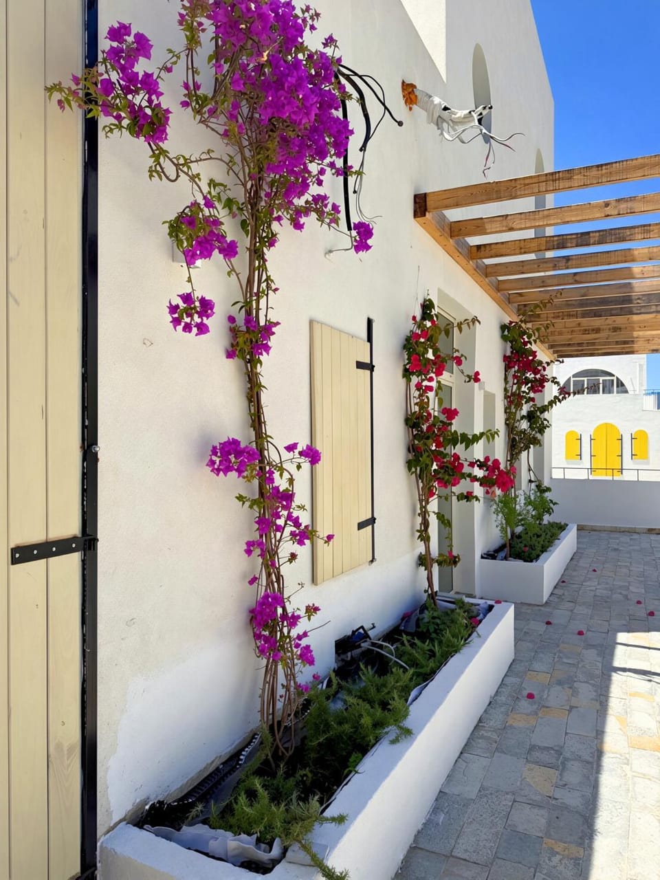 SanTorini Village Deluxe Apartments Apartment in Vlorë County, Albania