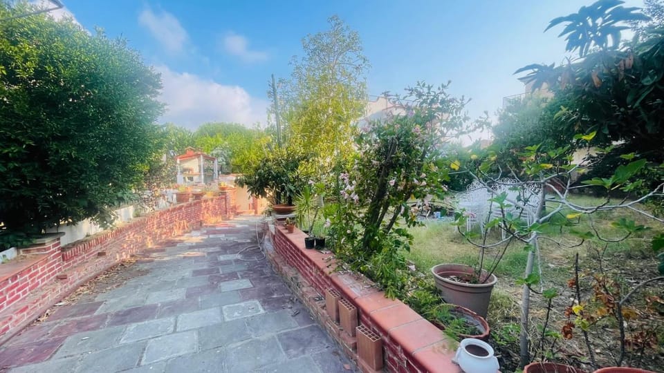 Garden, Inner courtyard view