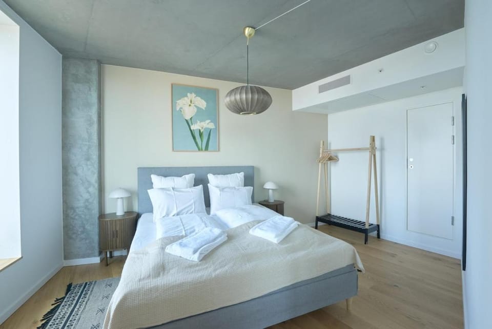 Central apartment with amazing view & free parking Apartment in Copenhagen