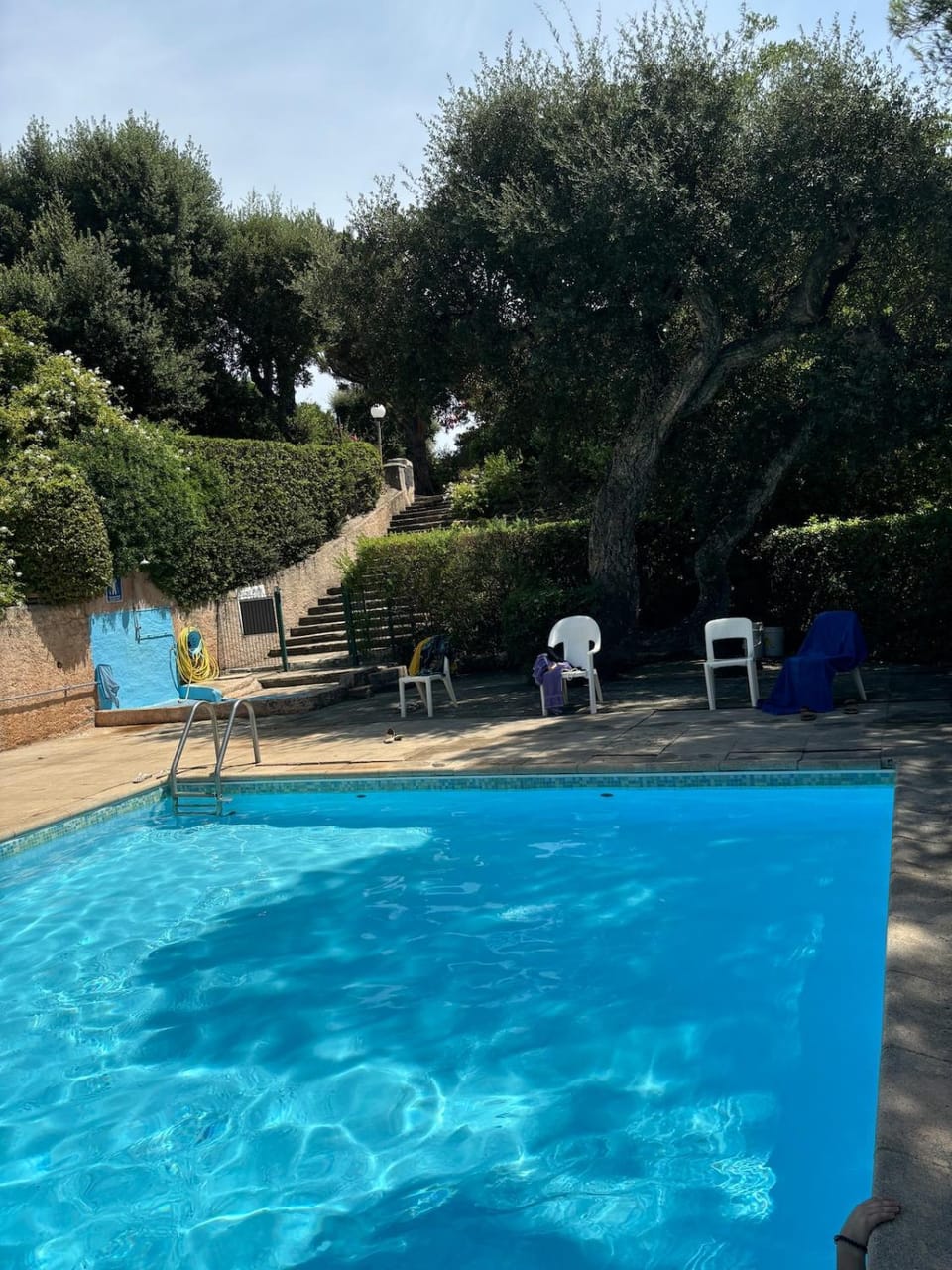 Le Mazet des amis-tree-lined-swimming pool-near sea Villa in Sainte-Maxime