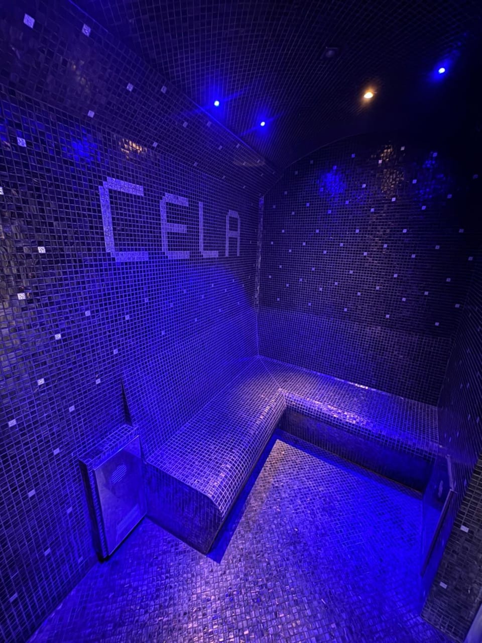 Sauna, Steam room, Spa and wellness centre/facilities