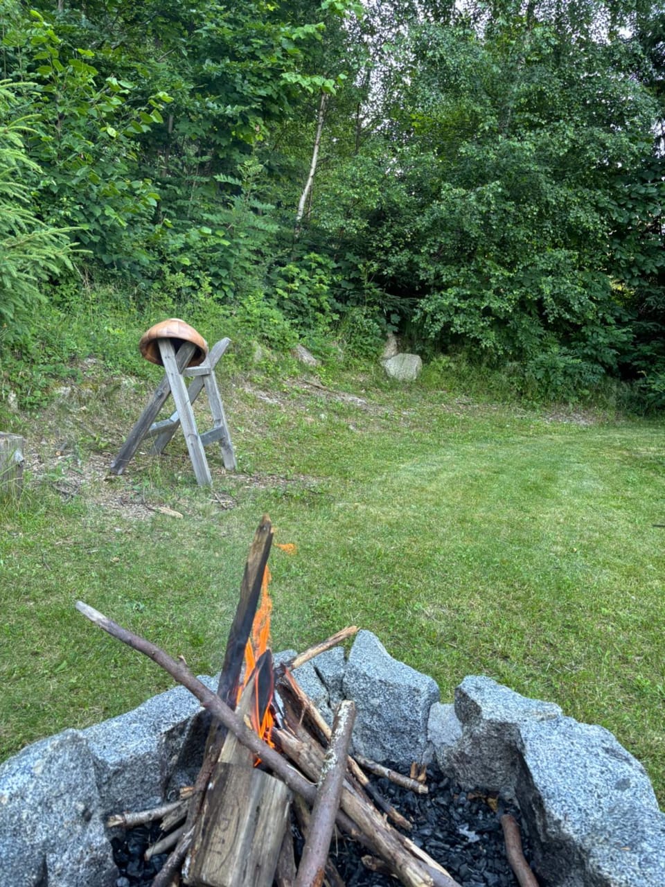 BBQ facilities, Garden, Garden view