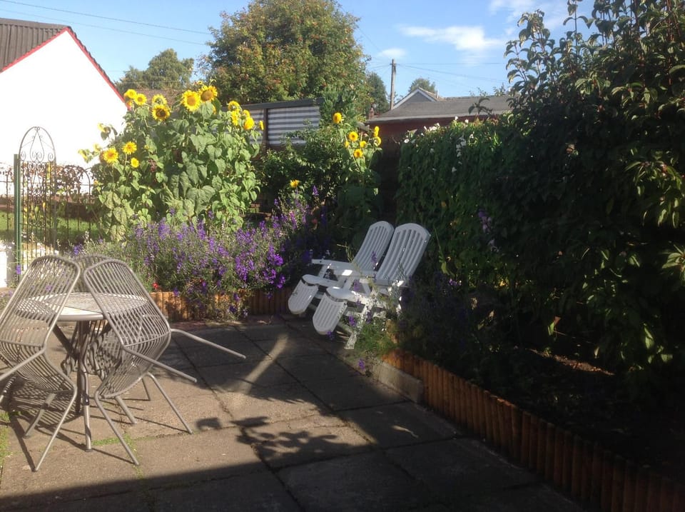 Patio, Garden