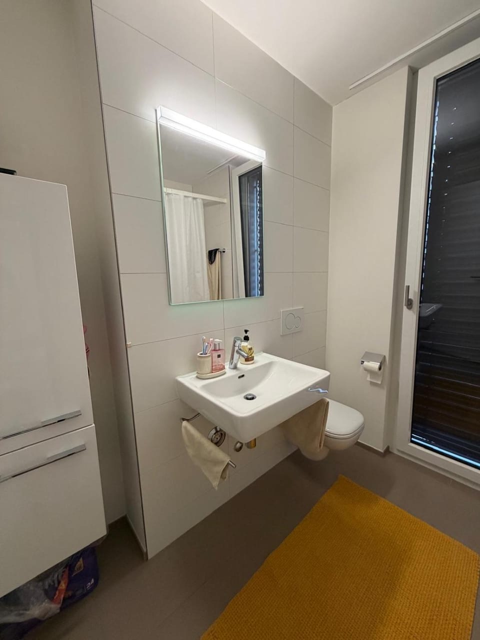 Toilet, Bathroom