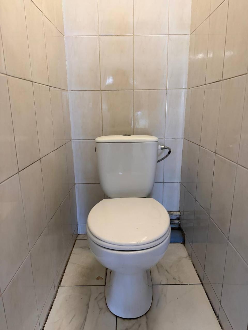 Хостел Арабея Hostel in Ukraine