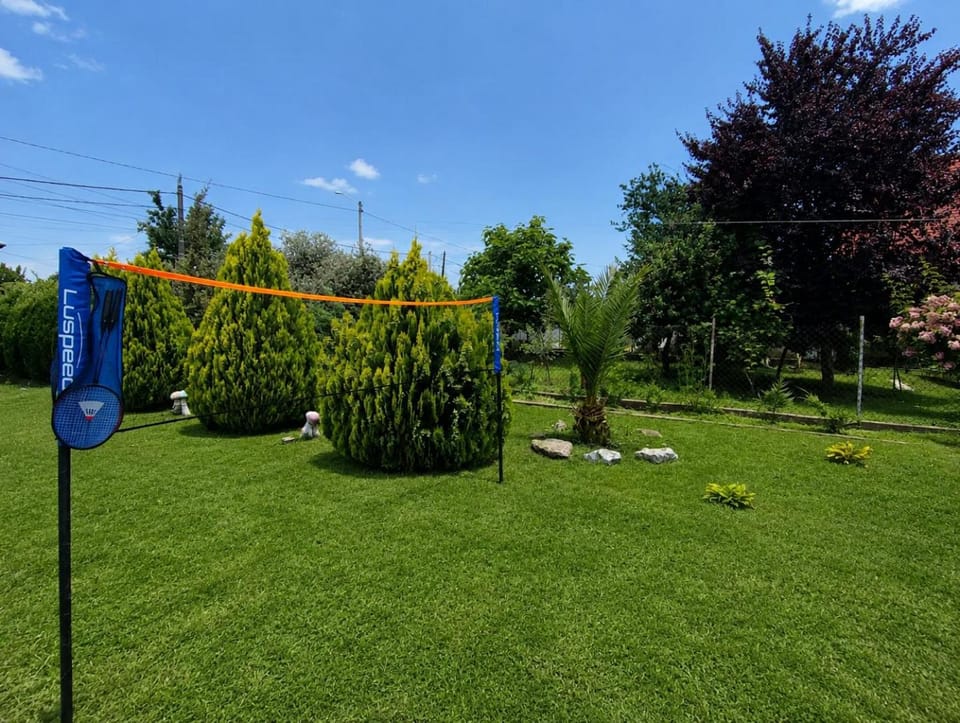 Day, Natural landscape, Garden, Garden view
