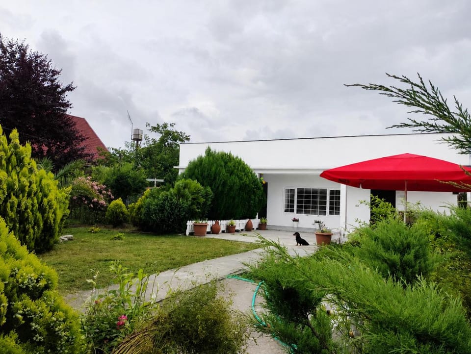Property building, Day, Garden, Garden view