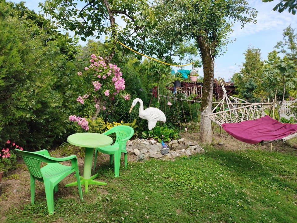 Day, Natural landscape, Garden, Garden view