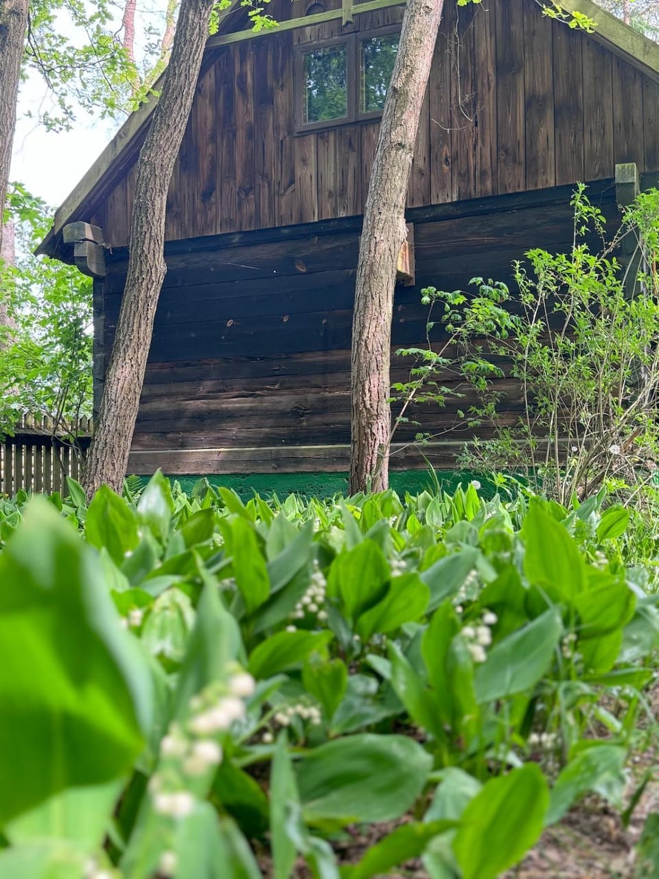 Property building, Garden
