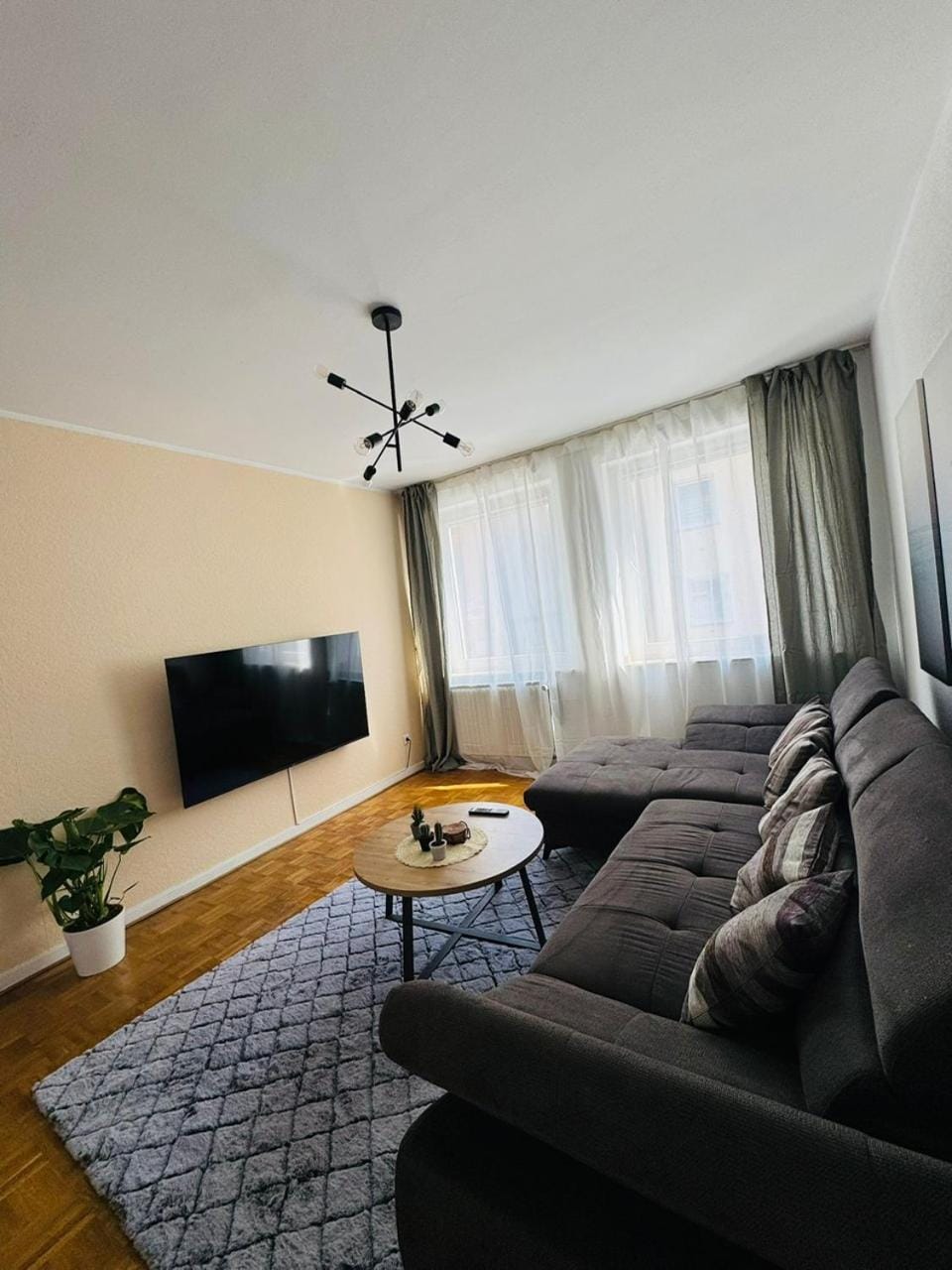 TV and multimedia