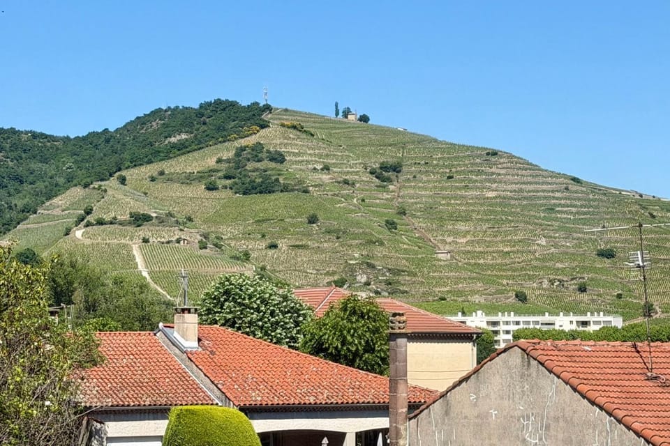 Les Coteaux d'Anaïs - Tournon-sur-Rhône Apartment in Provence