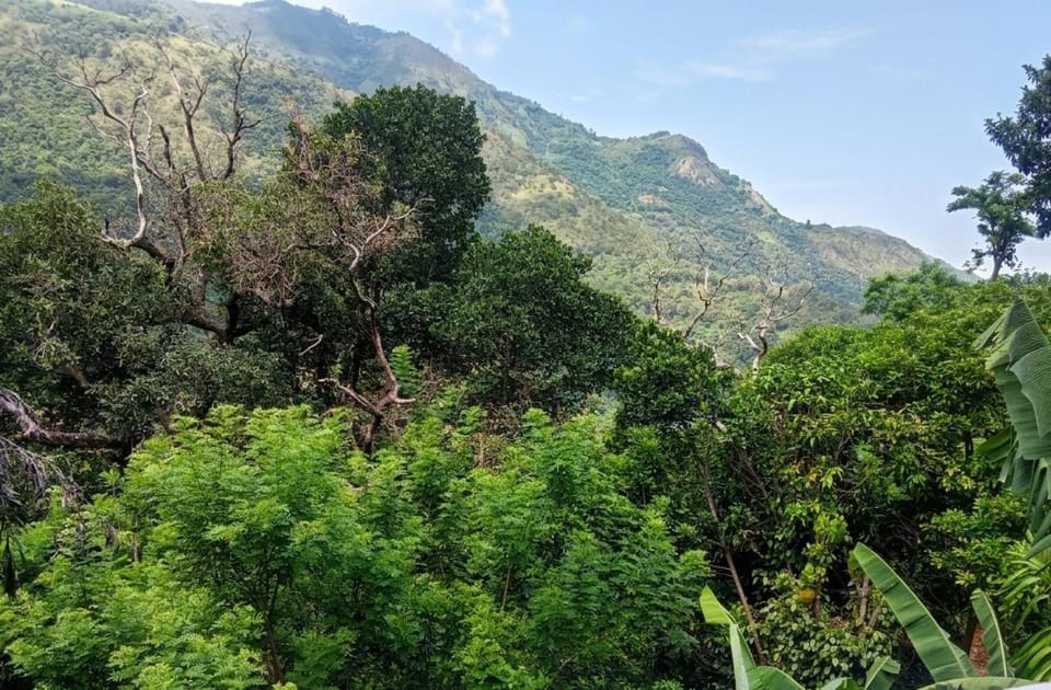 Green cage Hotel in Uva Province, Sri Lanka
