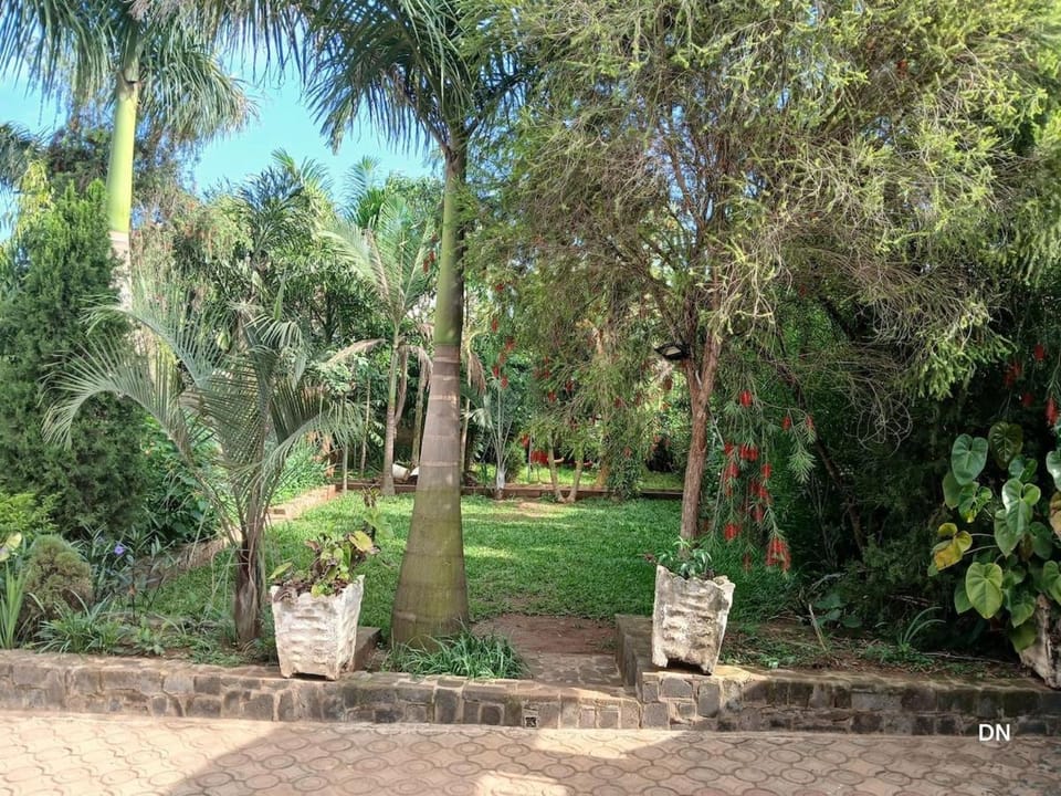 Natural landscape, Garden, Garden view