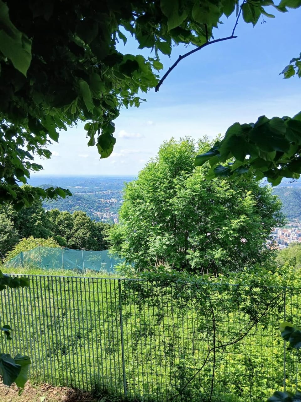 Natural landscape