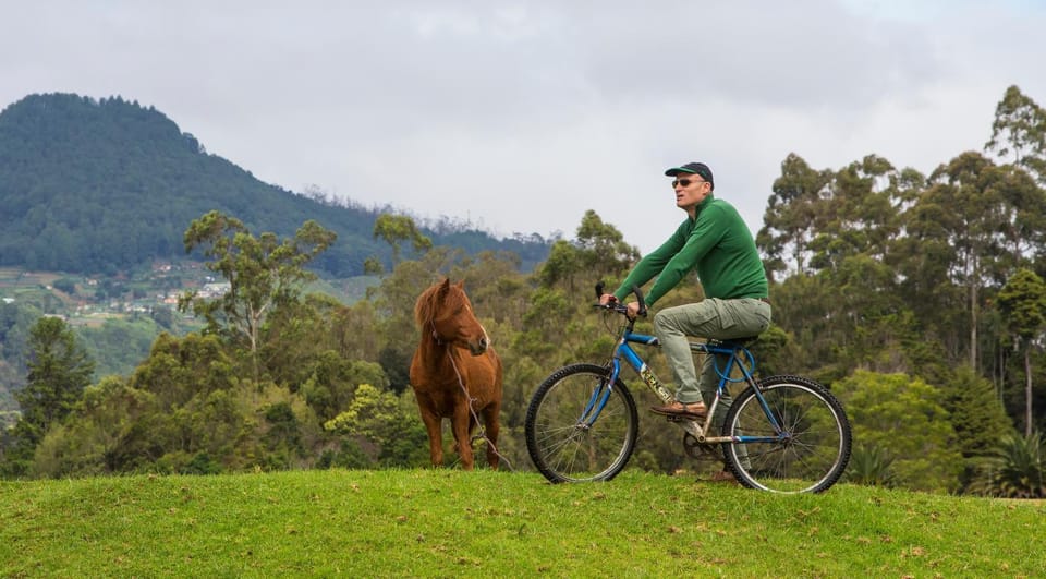 Off site, Cycling