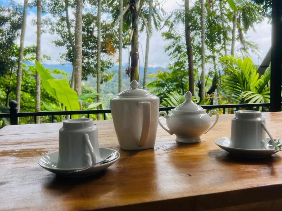 Garden, Coffee/tea facilities, View (from property/room), Balcony/Terrace, Garden view