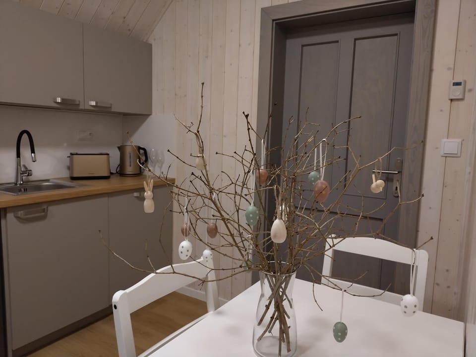 Kitchen or kitchenette, kitchen