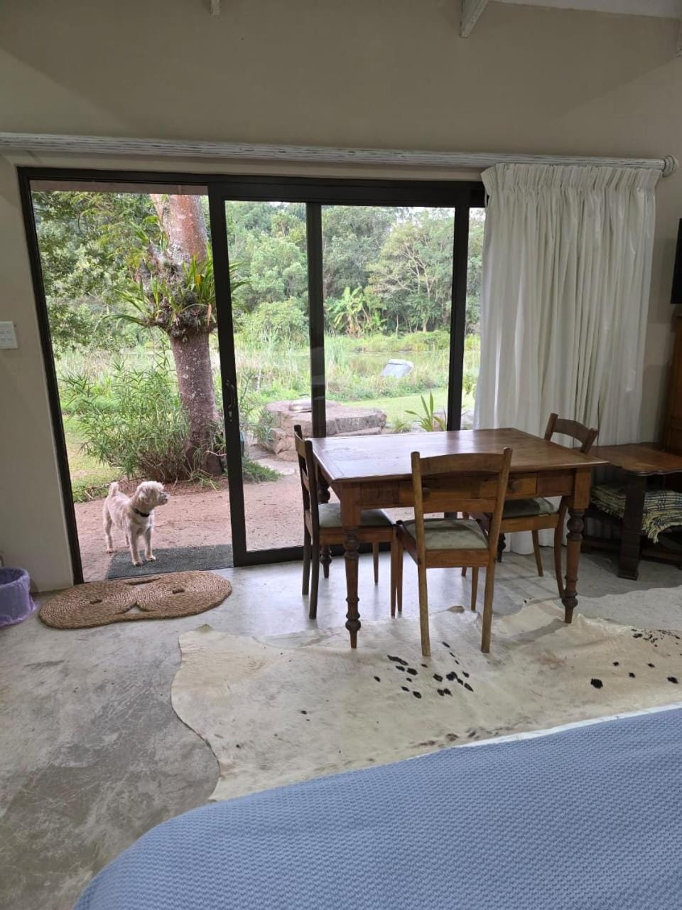 Haines Haven Country House in KwaZulu-Natal