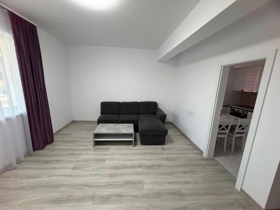 Modern 2-room apartment, fully equipped Apartment in Timisoara