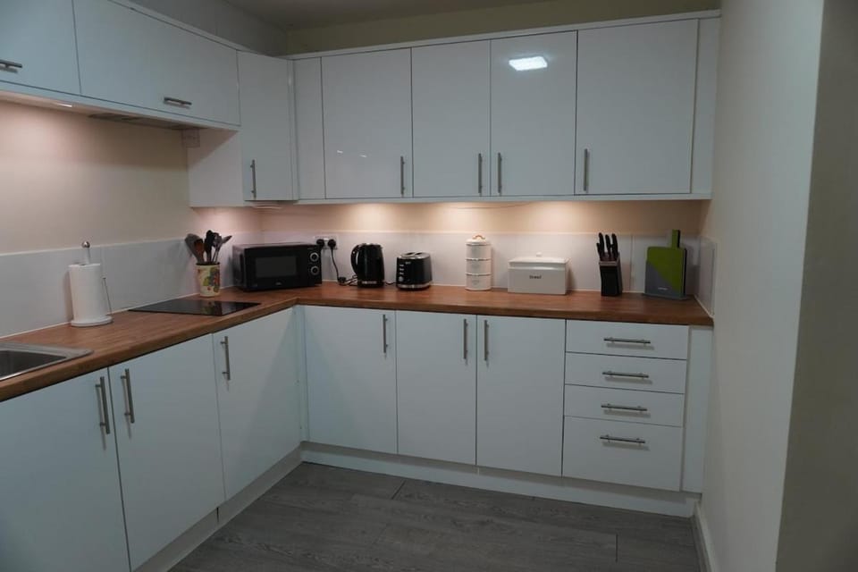 Studio Gutu Apartment in Rochester