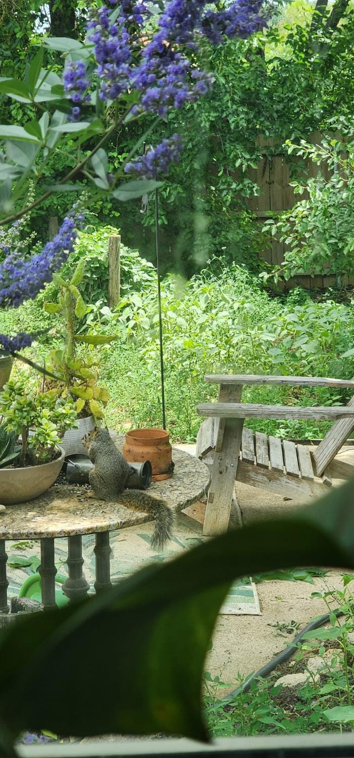 Serenity House Vacation rental in North Richland Hills