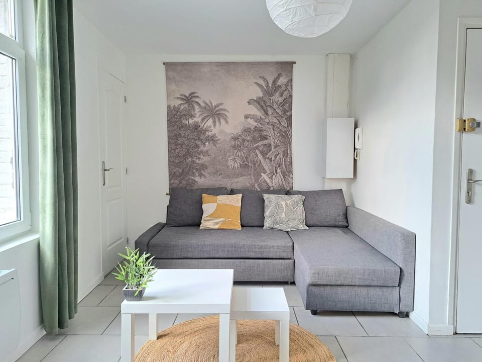 Cozy studio - 300 meters from Croix metro center Apartment in Hauts-de-France