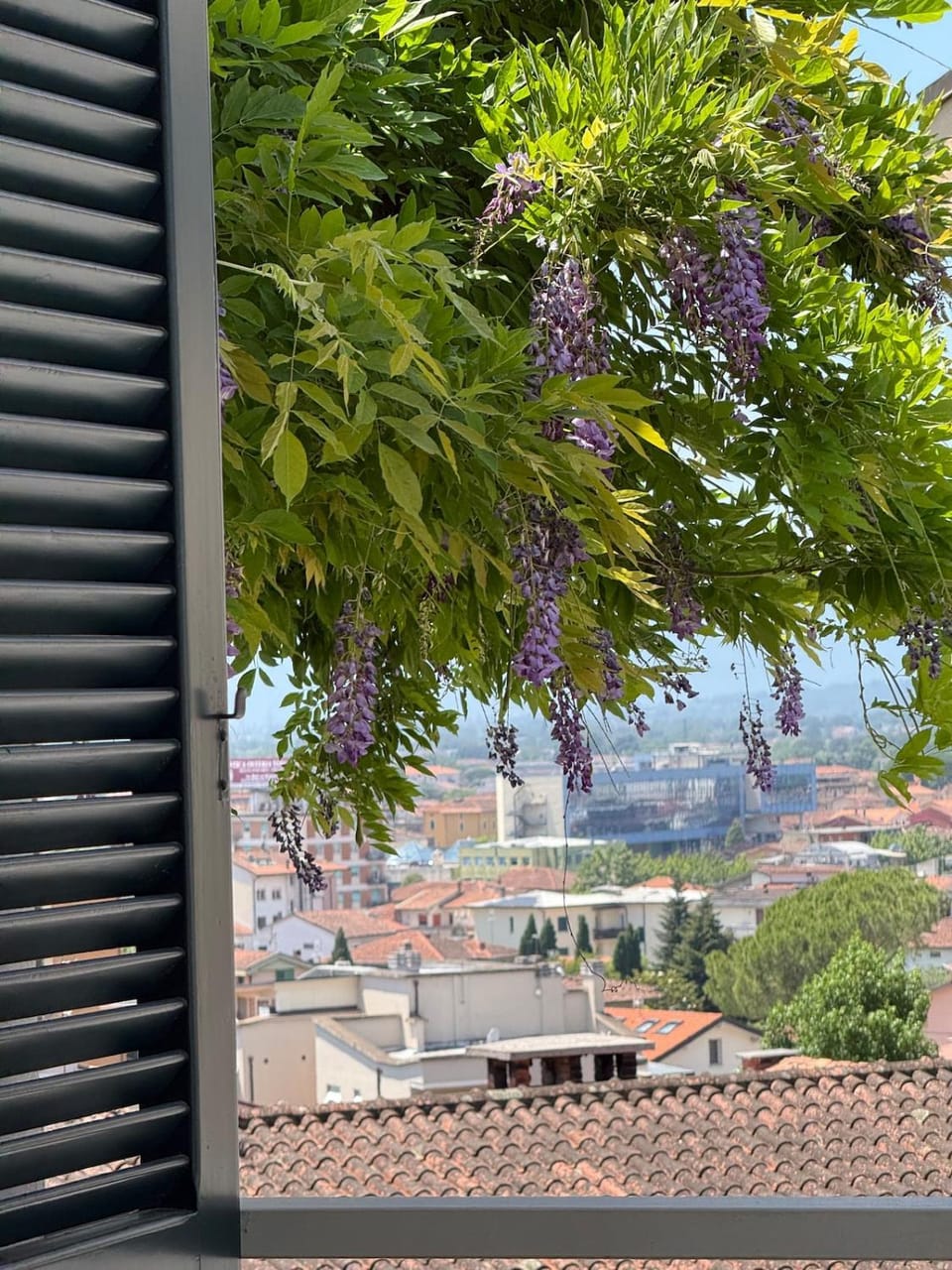 Day, City view